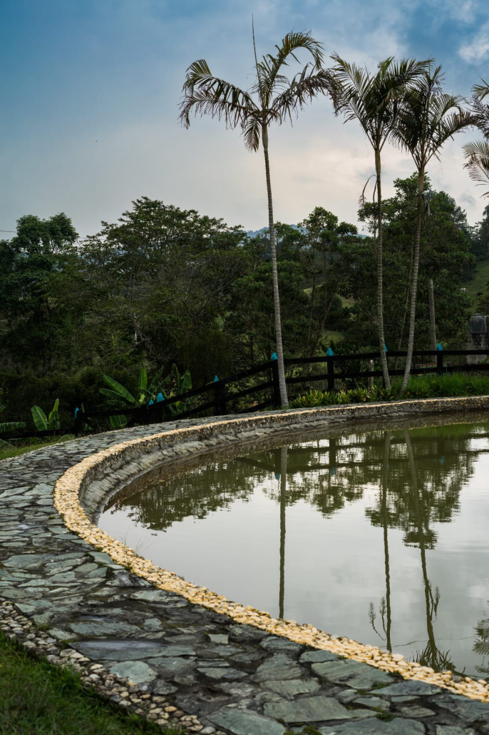 Piscina curva con palmeras en sede campestre Sportí