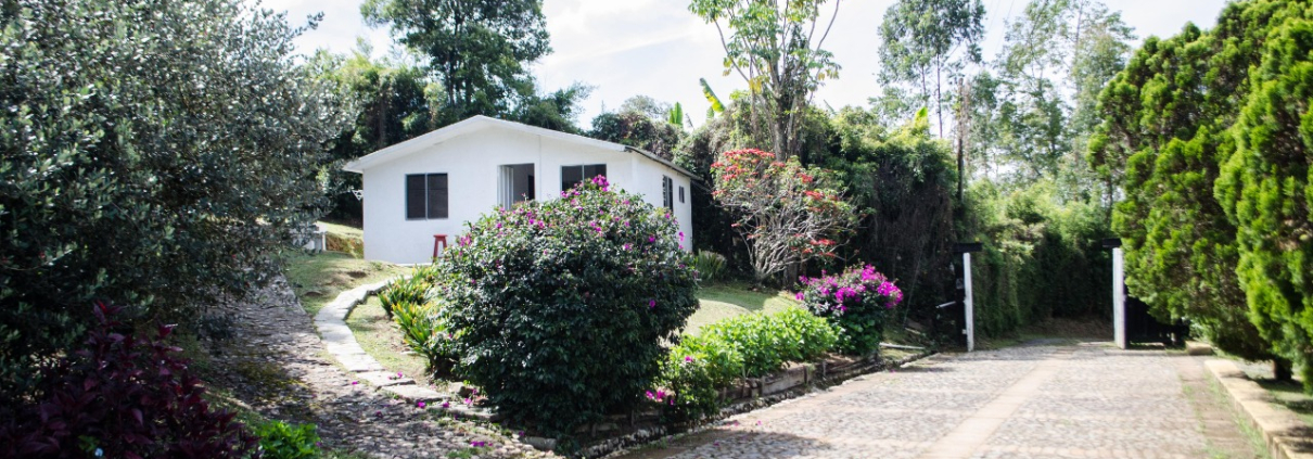 Sendero entre árboles en casa campestre Sportí
