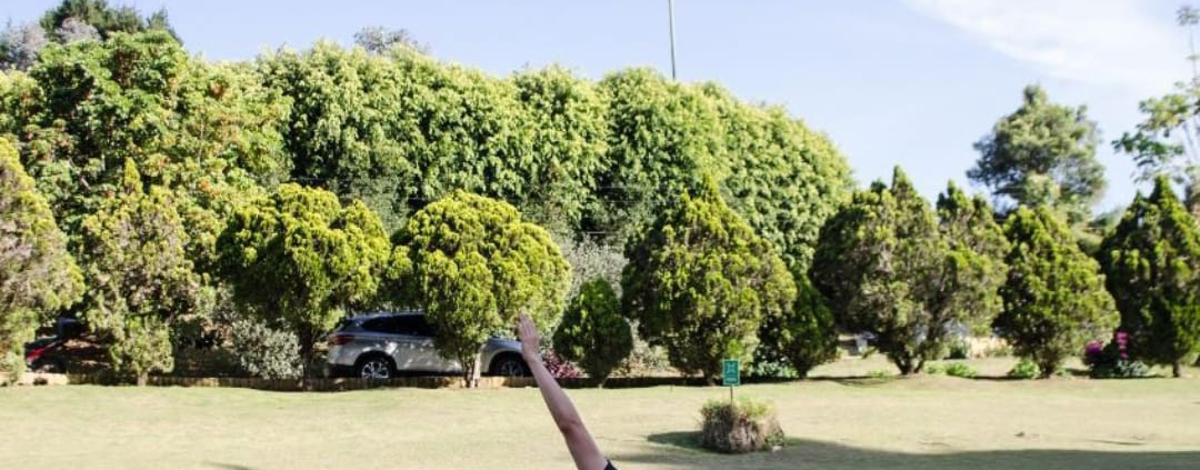 Yoga al aire libre en zona verde de Sportí