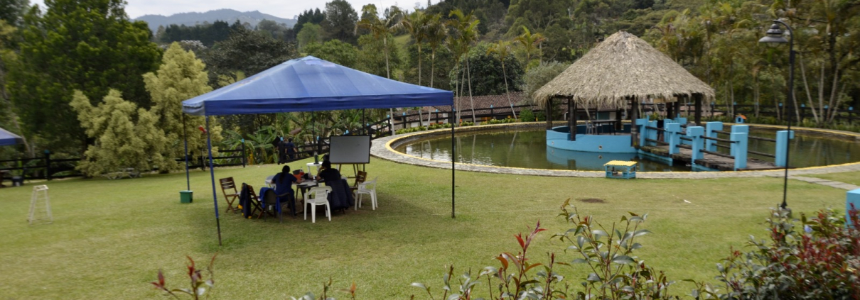 Zona verde con carpa azul y kiosco en Sportí